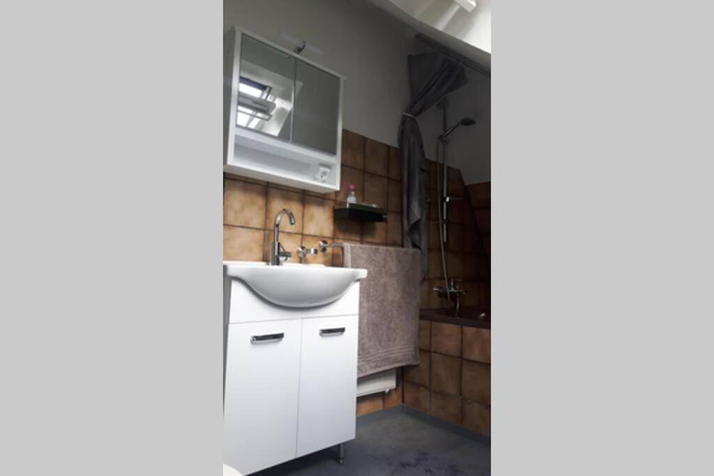 Helle 2-Zimmerwohnung Am Stadtrand هيلدسهايم المظهر الخارجي الصورة